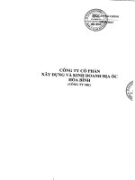 Báo cáo tài chính công ty mẹ quý 2 năm 2013 - Công ty cổ phần Xây dựng và Kinh doanh Địa ốc Hoà Bình