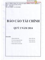 Báo cáo tài chính quý 2 năm 2014 - Công ty cổ phần Đầu tư DNA