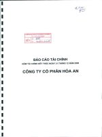 Báo cáo tài chính năm 2009 (đã kiểm toán) - Công ty Cổ phần Hóa An