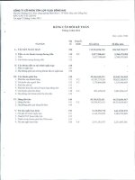 Báo cáo tài chính quý 1 năm 2013 - Công ty Cổ phần Tấm lợp Vật liệu xây dựng Đồng Nai