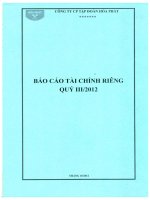 Báo cáo tài chính công ty mẹ quý 3 năm 2012 - Công ty cổ phần Tập đoàn Hòa Phát