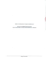 Báo cáo tài chính quý 2 năm 2013 (đã soát xét) - Công ty Cổ phần Đầu tư Dịch vụ Hoàng Huy