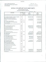 Báo cáo tài chính hợp nhất quý 4 năm 2012 - Công ty Cổ phần Nông dược H.A.I