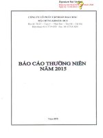 Báo cáo thường niên năm 2015 - Công ty Cổ phần Tập đoàn Đại Châu