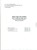 Báo cáo tài chính hợp nhất quý 4 năm 2010 - Công ty Cổ phần Tập đoàn Hoa Sen