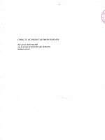 Báo cáo tài chính hợp nhất quý 2 năm 2012 (đã soát xét) - Công ty Cổ phần Tập đoàn Hapaco