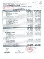 Báo cáo tài chính hợp nhất quý 4 năm 2009 - Công ty Cổ phần Dịch vụ Ô tô Hàng Xanh