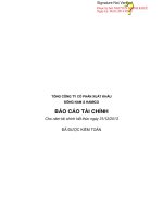 Báo cáo tài chính năm 2013 (đã kiểm toán) - Công ty cổ phần Đầu tư DNA