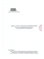 Báo cáo tài chính công ty mẹ quý 2 năm 2015 (đã soát xét) - Công ty Cổ phần Vật tư tổng hợp và Phân bón Hóa sinh