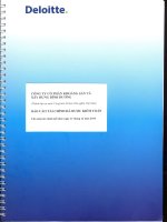 Báo cáo tài chính năm 2015 (đã kiểm toán) - Công ty Cổ phần Khoáng sản và Xây dựng Bình Dương