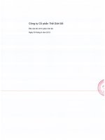 Báo cáo tài chính quý 2 năm 2015 (đã soát xét) - Công ty cổ phần Thế giới số