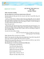 BỘ đề NGỮ văn số 21