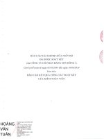 Báo cáo tài chính quý 2 năm 2014 (đã soát xét) - Công ty Cổ phần Hãng sơn Đông Á