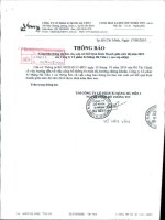 Báo cáo KQKD hợp nhất quý 2 năm 2010 (đã soát xét) - Công ty Cổ phần Xi Măng Hà Tiên 1