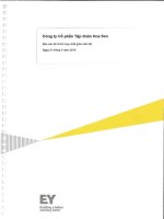 Báo cáo tài chính hợp nhất quý 2 năm 2015 (đã soát xét) - Công ty Cổ phần Tập đoàn Hoa Sen