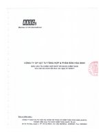 Báo cáo tài chính hợp nhất năm 2011 (đã kiểm toán) - Công ty Cổ phần Vật tư tổng hợp và Phân bón Hóa sinh