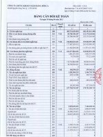 Báo cáo tài chính quý 2 năm 2013 - Công ty TNHH MTV Chứng khoán Ngân hàng Đông Á