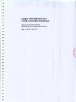 Báo cáo tài chính năm 2013 (đã kiểm toán) - Công ty TNHH MTV Chứng khoán Ngân hàng Đông Á