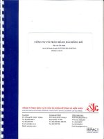 Báo cáo tài chính quý 2 năm 2010 (đã soát xét) - Công ty Cổ phần Hàng hải Đông Đô