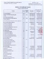 Báo cáo tài chính quý 1 năm 2014 - Công ty TNHH MTV Chứng khoán Ngân hàng Đông Á