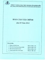 Báo cáo tài chính công ty mẹ quý 2 năm 2014 - Công ty cổ phần Thương mại và Khai thác Khoáng sản Dương Hiếu