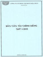 Báo cáo tài chính công ty mẹ quý 1 năm 2011 - Công ty cổ phần Tập đoàn Hòa Phát