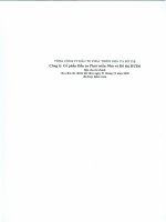 Báo cáo tài chính năm 2009 (đã kiểm toán) - Công ty cổ phần Đầu tư Phát triển nhà và Đô thị HUD 6