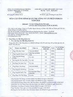 Báo cáo tình hình quản trị công ty - Công ty Cổ phần Ngoại thương và Phát triển Đầu tư Thành phố Hồ Chí Minh