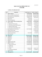 Báo cáo tài chính tóm tắt năm 2006 - Công ty TNHH MTV Chứng khoán Ngân hàng Đông Á