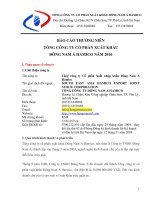 Báo cáo thường niên năm 2010 - Công ty cổ phần Đầu tư DNA