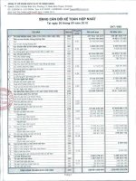 Báo cáo tài chính hợp nhất quý 3 năm 2010 - Công ty Cổ phần Dịch vụ Ô tô Hàng Xanh