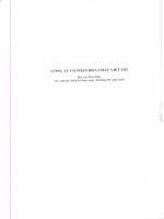 Báo cáo tài chính quý 3 năm 2010 - Công ty Cổ phần Hóa chất Việt Trì