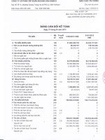 Báo cáo tài chính quý 1 năm 2013 - Công ty Cổ phần Đầu tư và Phát triển KSH