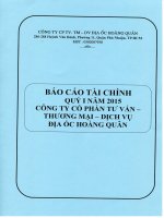 Báo cáo tài chính quý 1 năm 2015 - Công ty cổ phần Tư vấn-Thương mại-Dịch vụ Địa ốc Hoàng Quân