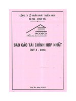 Báo cáo tài chính hợp nhất quý 3 năm 2013 - Công ty Cổ phần Phát triển nhà Bà Rịa-Vũng Tàu