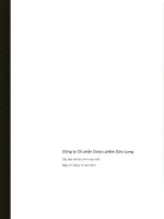 Báo cáo tài chính hợp nhất năm 2012 (đã kiểm toán) - Công ty Cổ phần Dược phẩm Cửu Long