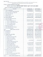 Báo cáo tài chính hợp nhất quý 2 năm 2009 - Công ty Cổ phần Tập đoàn Dabaco Việt Nam