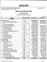 Báo cáo tài chính quý 3 năm 2007 - Công ty Cổ phần Xây dựng Công nghiệp DESCON