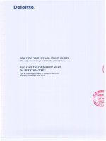 Báo cáo tài chính hợp nhất quý 2 năm 2012 (đã soát xét) - Tổng Công ty Khí Việt Nam-CTCP