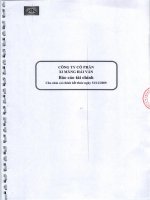 Báo cáo tài chính năm 2009 (đã kiểm toán) - Công ty Cổ phần Xi măng Vicem Hải Vân