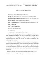 Báo cáo thường niên năm 2015 - Công ty Cổ phần Viglacera Hạ Long I