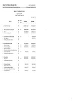 Báo cáo tài chính quý 1 năm 2009 - Công ty Cổ phần Xi măng Hà Tiên 2