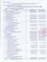 Báo cáo tài chính quý 3 năm 2009 - Công ty Cổ phần Tập đoàn Dabaco Việt Nam