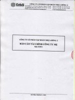 Báo cáo tài chính công ty mẹ quý 1 năm 2011 - Công ty Cổ phần Tập đoàn Nhựa Đông Á