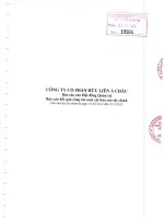Báo cáo tài chính quý 2 năm 2015 (đã soát xét) - Công ty Cổ phần Hữu Liên Á Châu