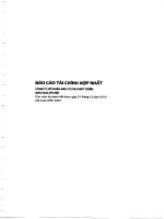 Báo cáo tài chính hợp nhất năm 2013 (đã kiểm toán) - Công ty Cổ phần Đầu tư và Phát triển giáo dục Hà Nội