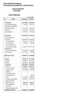 Báo cáo tài chính quý 4 năm 2009 - Công ty Cổ phần Tấm lợp Vật liệu xây dựng Đồng Nai