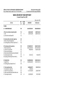 Báo cáo tài chính hợp nhất quý 3 năm 2008 - Công ty Cổ phần Vật tư tổng hợp và Phân bón Hóa sinh