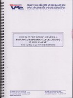 Báo cáo tài chính hợp nhất quý 2 năm 2012 (đã soát xét) - Công ty Cổ phần Tập đoàn Nhựa Đông Á