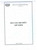 Báo cáo tài chính hợp nhất quý 2 năm 2011 - Công ty cổ phần Tập đoàn Hòa Phát
